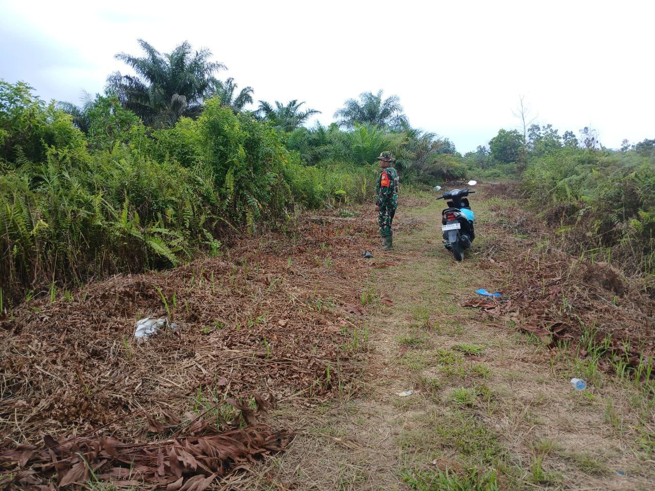 Babinsa Koramil 07/Kampar Laksanakan Patroli dan Sosialisasi Cegah Terjadinya Karlahut
