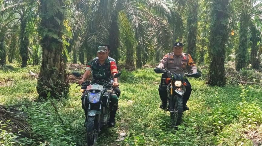 Melakukan Pencegahan Karhutla, Personil TNI Polri Melaksanakan Patroli dan Sosialisasi