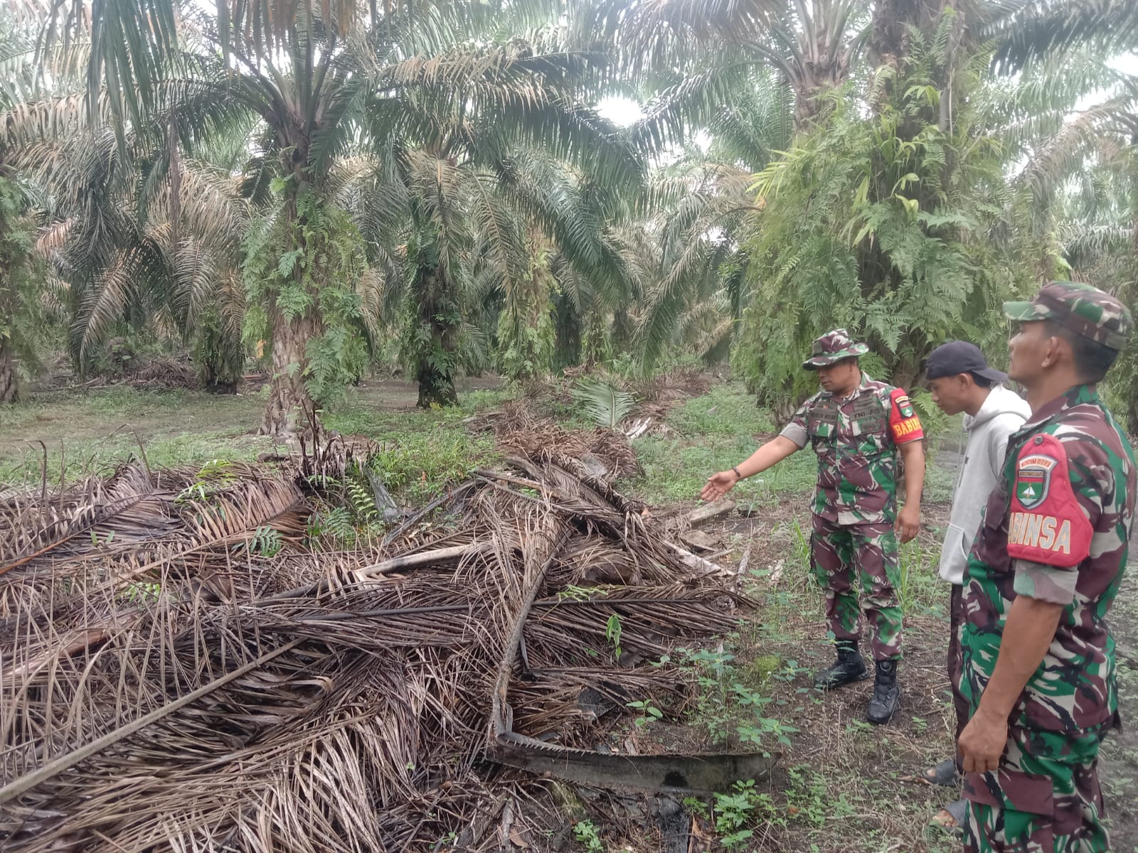 Babinsa Sosialisasi di Kebun Masyarakat Cegah Karhutla 