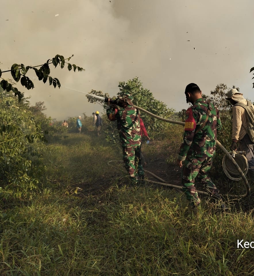 Koramil 03/Bunut Bersama Tim Gabungan Lakukan Pendinginan Karhutla di Desa Merbau, Pelalawan  