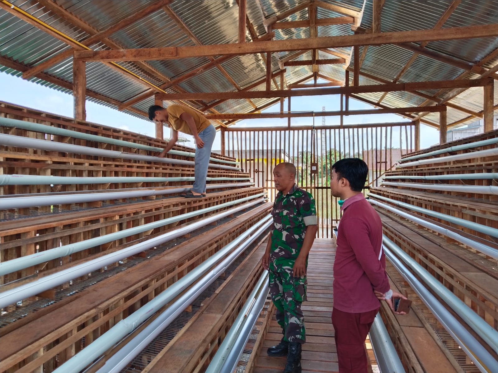 Babinsa Pantau Pembuatan Kandang Ayam Petelur Demi Sukseskan Program Ketahanan Pangan