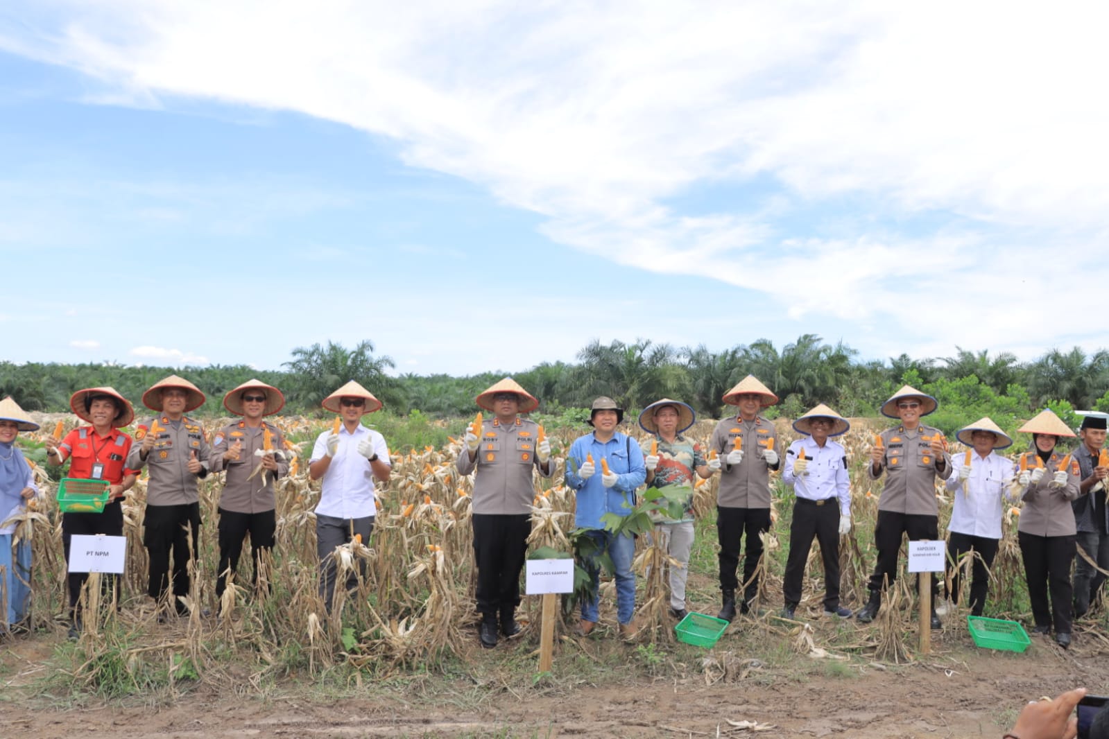 Kapolres Kampar Hadir Saksikan Panen Jagung Pipil dan Dukung Swasembada Pangan
