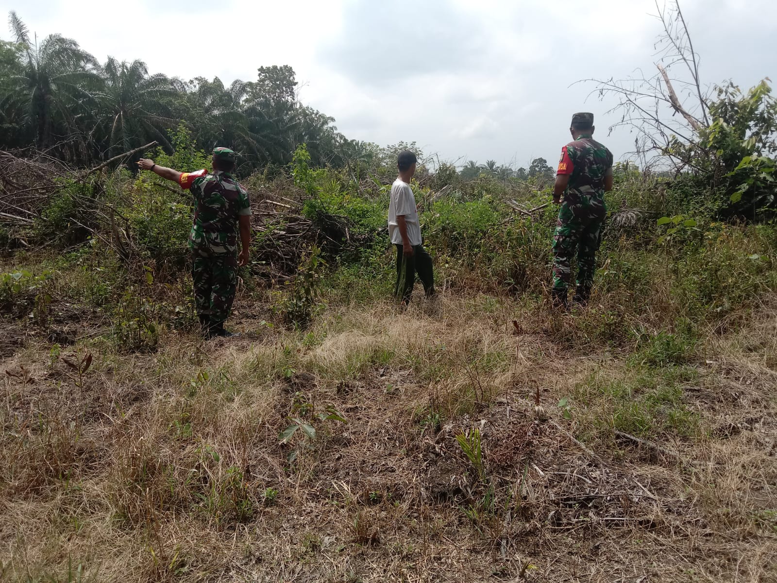 Babinsa Laksanakan Sosialisasi di Kebun Masyarakat Cegah Kebakaran Hutan dan Lahan