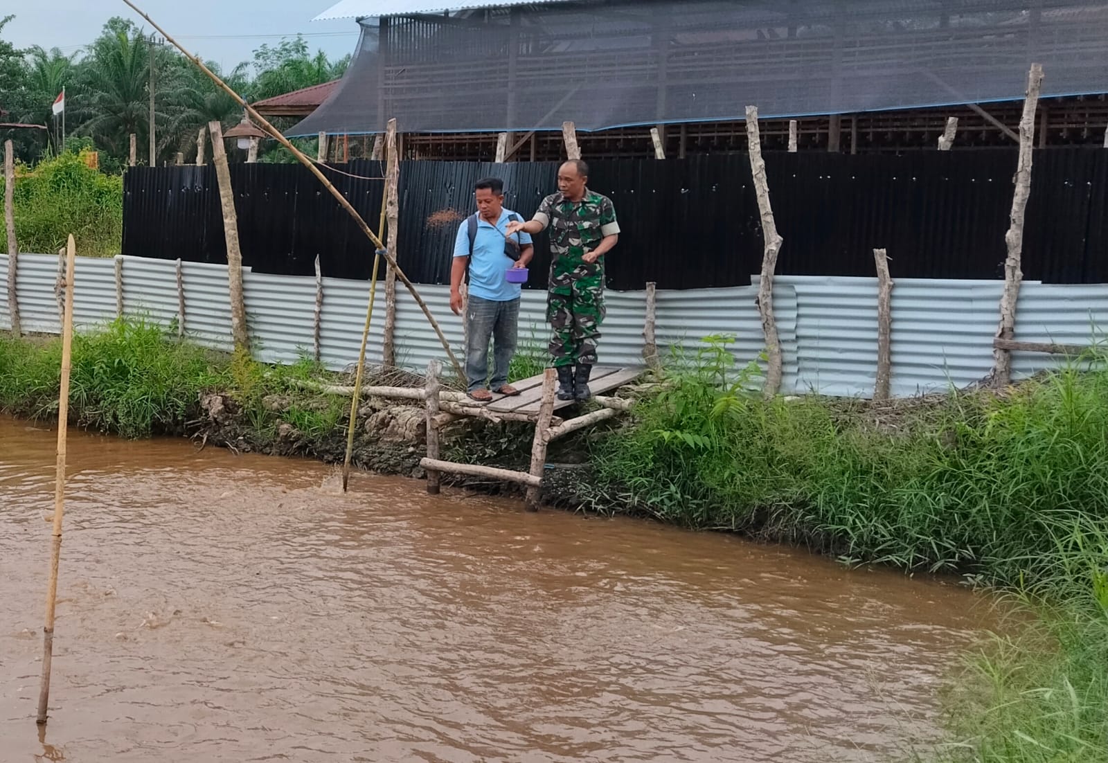 Babinsa Dampingi Pengelolaan Peternakan Ikan Patin Milik BUMDes Desa Kuala Tolam