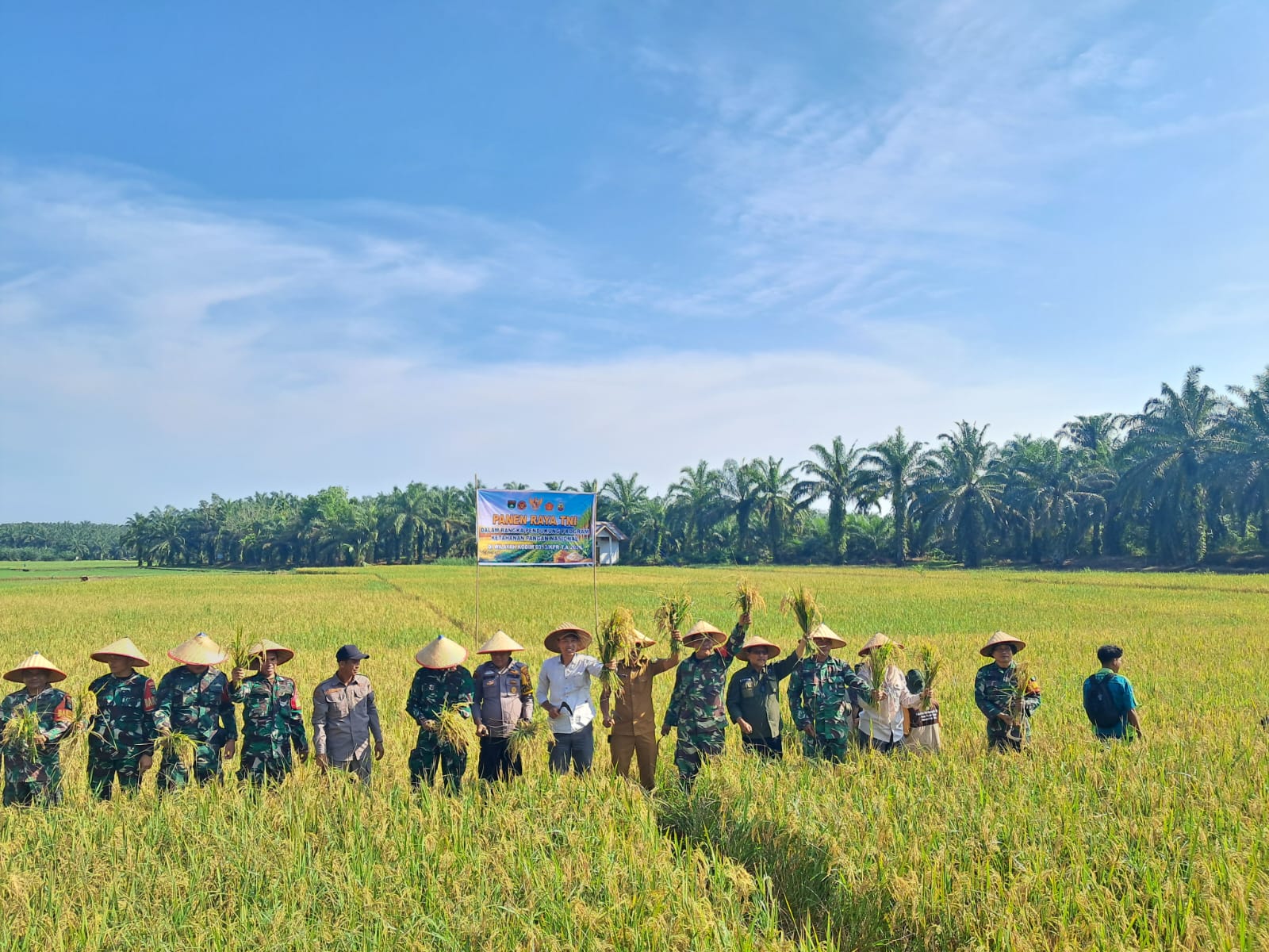 Panen Raya TNI Bersama Masyarakat, Wujud Nyata Dukungan Ketahanan Pangan Nasional di Rokan Hulu