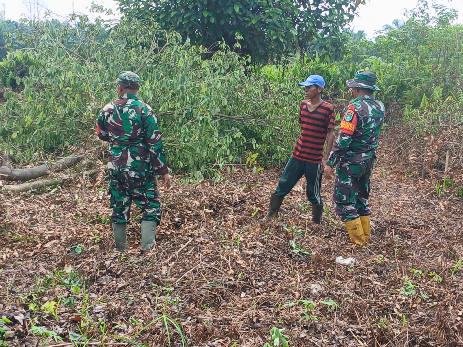 Babinsa Desa Rimbo Panjang Lakukan Patroli dan Sosialisasi Bahaya Membakar Lahan