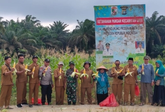 Dukung Program Hanpangan RTH Babinsa Hadiri Panen Pertama Jagung Manis