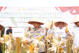 Polda Riau Gelar Panen Raya Jagung Kuartal III 2025, Dorong Ketahanan Pangan Nasional