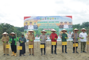 Polsek Lubuk Batu Jaya Gelar Penanaman Jagung Pipil Serentak Dukung Swasembada Pangan 2025