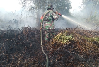 Babinsa Koramil 07/Kampar dan Tim Terpadu Lakukan Pendinginan Lokasi Lahan Desa Rimbo Panjang