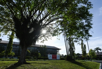 Asrinya Hutan Rumbai PHR, Menjadi Simbol Warisan Alam Yang Harmoni