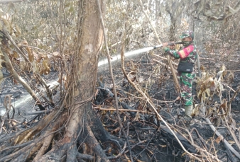 Koramil 03/Bunut Terjunkan Personel Bantu Pemadaman Karhutla di Kuala Tolam