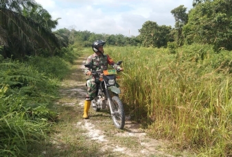 Stop Karhutla, Babinsa Laksanakan Patroli dan Sosialisasi di Wilayah Koramil 07/Kampar 