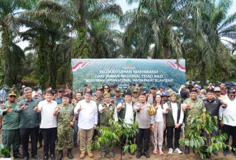 Penumbangan Sawit Disaksikan Menhut, Gubernur, Kapolda, Pangdam XIX, dan Kajati Riau, di Tesso Nilo