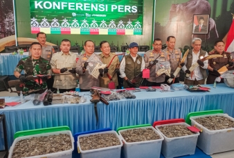 Pembunuhan Gajah Sumatera di Pelalawan dan Jaringan Penjualan Gading Terungkap
