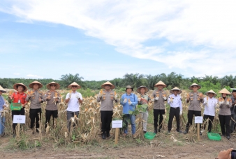 Kapolres Kampar Hadir Saksikan Panen Jagung Pipil dan Dukung Swasembada Pangan